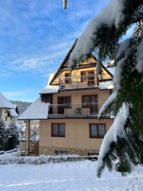 Willa Pasja, Zakopane